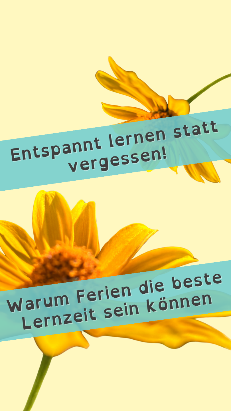 Entspannt lernen statt vergessen!